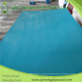 Indonesia Market 2.7mm Blue Polyester Plywood in Hot Sale